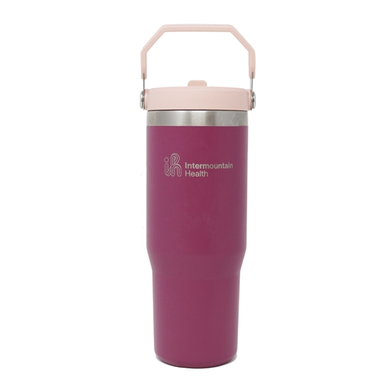 STANLEY 30 OZ FLIP STRAW TUMBLER - STNLY30_IH_