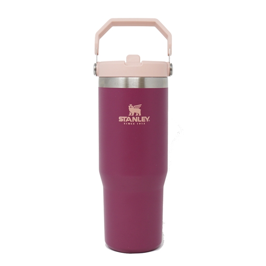 STANLEY 30 OZ FLIP STRAW TUMBLER - STNLY30_IH_